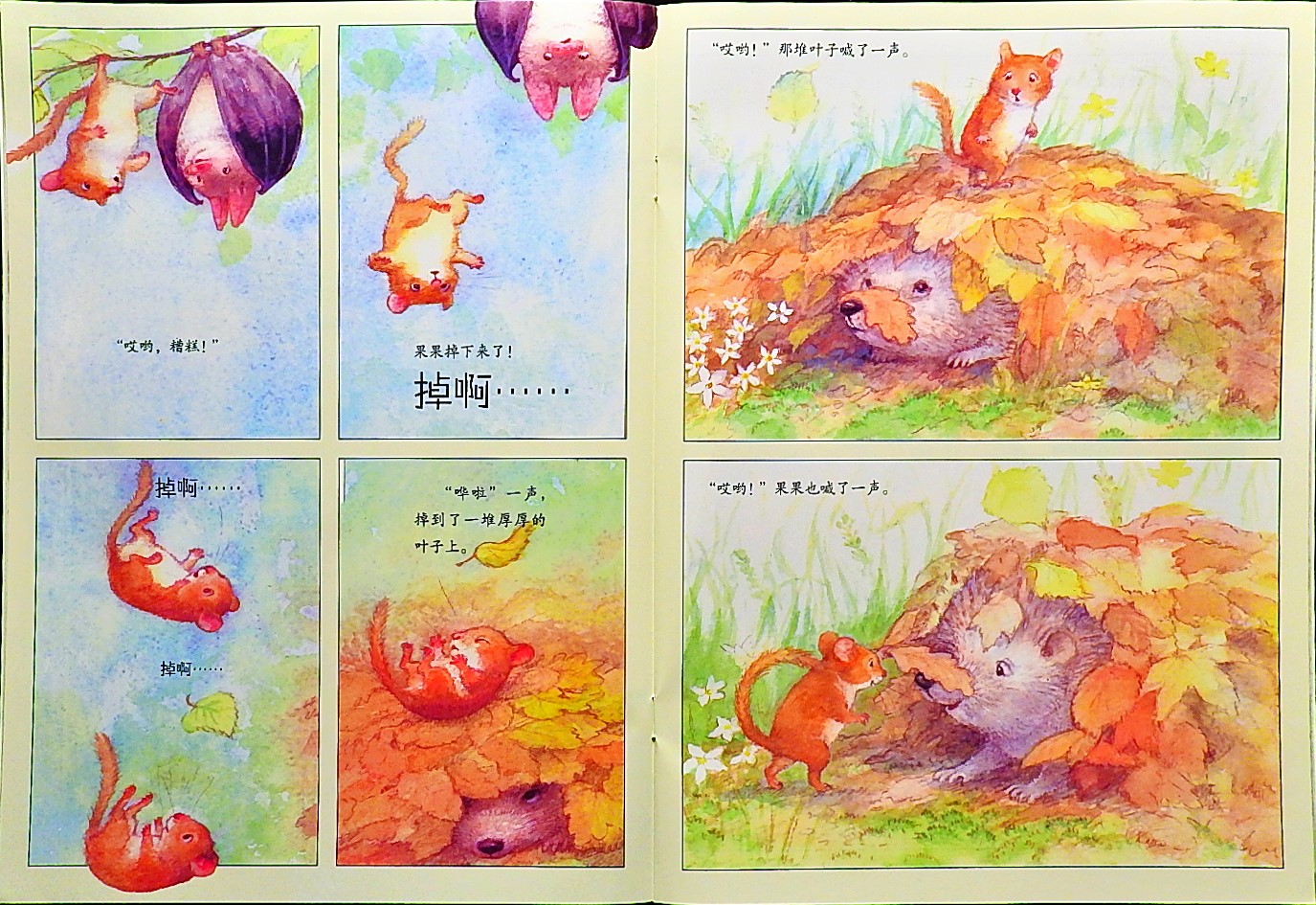 睡鼠睡不着 (06),绘本,绘本故事,绘本阅读,故事书,童书,图画书,课外阅读